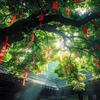 云南百鸟教育曾老师
