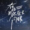 在你的冬夜里闪耀