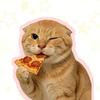 耄的打卤馕🍕（论文版）