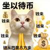 （阿智）智能手表测评