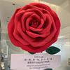 小君唠唠香港那些事儿