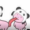 美的哈z本