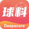 球料岛