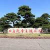 临沂正直苗木紫薇基地