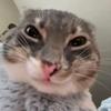 爱慕