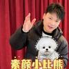 郑州阿辉星原高端犬舍