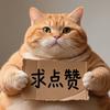 喵开心每一天