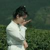 曹茂琳手工茶•非遗传承人