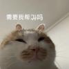 喵了个咪咪