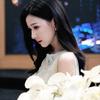 刘梦杰