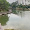 小林