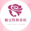 糖豆萌宠观赏动物养殖