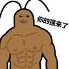 一枚入机