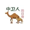 中卫人的日常