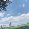 @兵哥