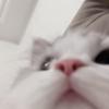冬