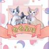 卷卷星球（小红老板）