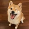 小吴