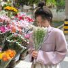 芋圆甜甜