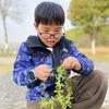 小白同学LYB