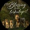 Blessingfromlorkulup