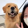 布利阿姗