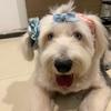 🐶Sunny的📹录像机