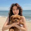 苏州香山犬业养育场地