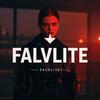 FALVLITE漳州龙文伟拓科贸易有限公司专卖店
