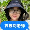 小玲聊调节剂
