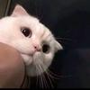 缘为斌说影