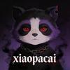 xiaopacai94