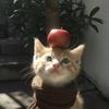 冰冷冷^ ^