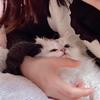 猫猫Cathy