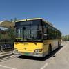 WH10-049（嘉定106R）