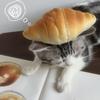 椰子片