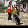 琴琴日常生活，小號