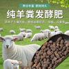 花秀才园艺工厂