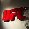 UFC预测之王