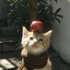 猫猫大王（90后带货主播）