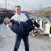 马校长K9训犬