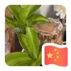 台湾属于中国