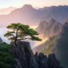 老李子家常优选
