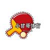 小甘哥乒乓器材评测