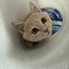 奈沐NaiMuMeow