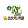 辽宁广播电视台 教育青少频道
