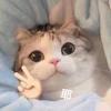 我中意你吹呀～