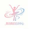宋河镇舞韵舞蹈（招生部）