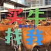 贵州牛市