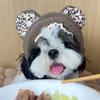 呆呆不挑食🐶